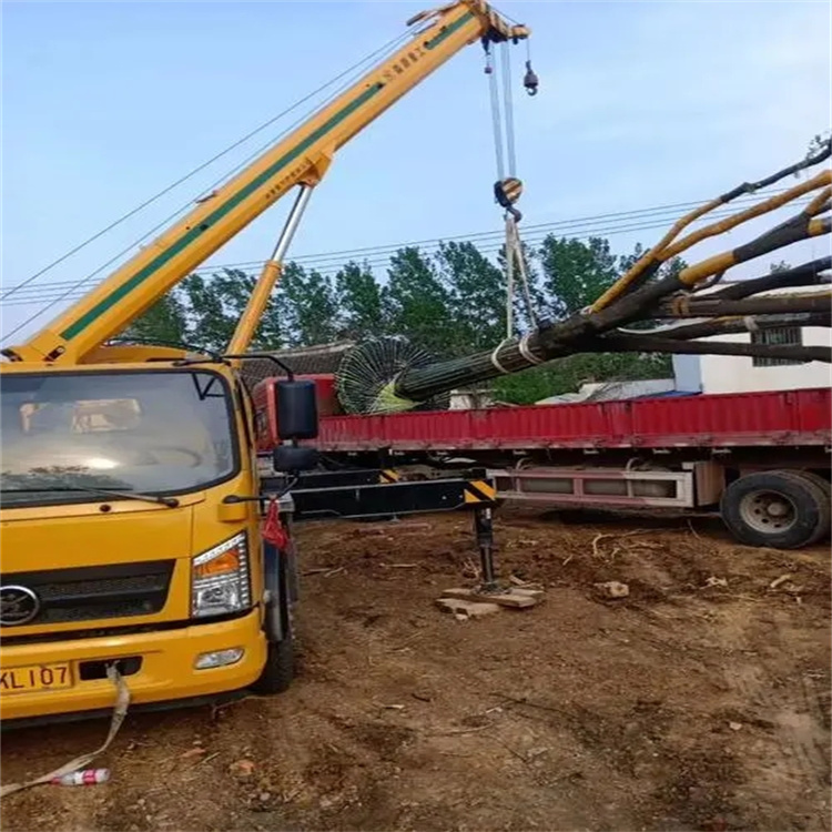 熊口管理区100吨吊车租赁费用怎么算？3大关键因素+省钱技巧全解析